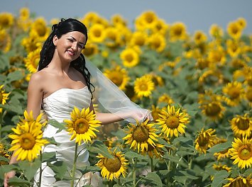 Foto Studio Enigma Nunta Pitesti