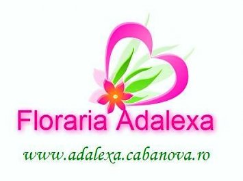 Floraria Adalexa Nunta Pitesti